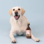 WAGSDALE PELUCHE CHILLIN’ & GRILLIN’ DOGGO IPA