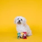 WAGSDALE PELUCHE FOOD JUNKIE HOWLING HOT SAUCE SET