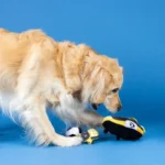 WAGSDALE PELUCHE SPORTS FANATICS GOOOOAL SET