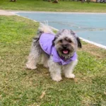 Chaleco Maison Lila modelo 1