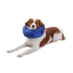 Kruuse Buster Collar Inflable De Nylon