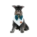 Bandana Baby Corduroy Glam Emerald