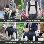 Arnés Para Cargar Mascotas Grandes