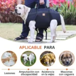 Arnés Para Cargar Mascotas Grandes