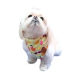 Bandana Summer Amarilla