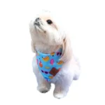 Bandana Summer Celeste