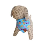 Bandana Summer Celeste