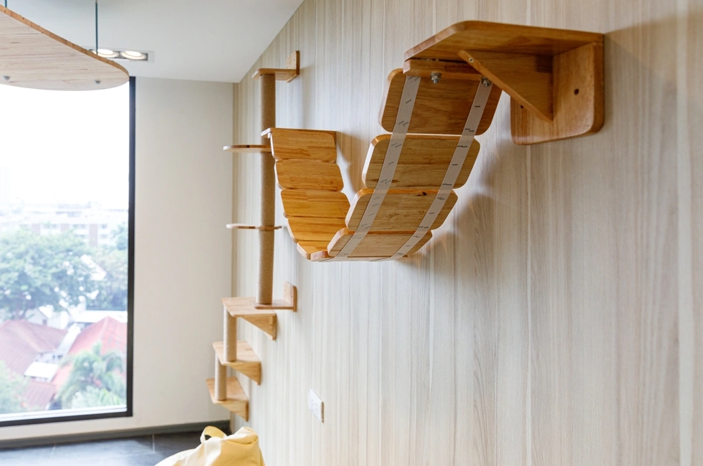 Cómo crear un espacio seguro y acogedor para tu gato en casa