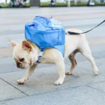 Mochila Arnés Para Perro
