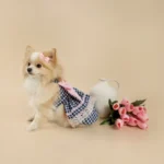 Little Tails Vestido Cuadros Azules