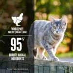 Orijen Adult Cat De Atún, Salmón y Carne en Caldo de Huesos Lata 85G