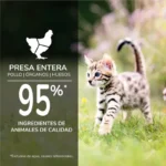 Orijen Kitten Cat De Pollo y Salmón en Caldo de Huesos 85g