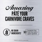 Orijen Kitten Cat De Pollo y Salmón en Caldo de Huesos 85g