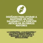 Orijen Senior Dog de Pollo y Pavo de Corral y Pescado Silvestre 2kg