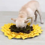 Alfombra Cognitiva Girasol