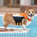 Chaleco Salvavidas Reflectante Anaranjado