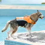 Chaleco Salvavidas Reflectante Anaranjado