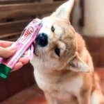 Churu Para Perros Snack Húmedo 14 gr X 4 Unid Pollo Con Salmón