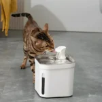 Fuente de Agua Para Gato Cuadrado 2.2 L