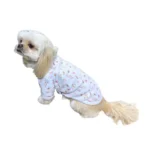 Blue Stars Polo de Algodón Pima Flower cochi