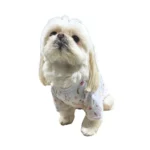 Blue Stars Polo de Algodón Pima Flower cochi