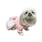 Little Tails Saco Vestido Melón cochi