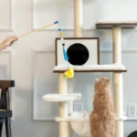 ZippyClaws - zippystick bird