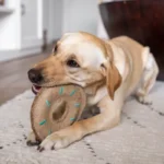 ZippyPaws EcoZippy Jute Donutz