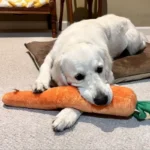 ZippyPaws Jigglerz Carrot