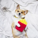 ZippyPaws NomNomz Fries