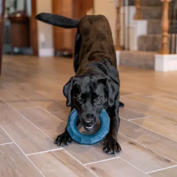 ZippyPaws Zippystuff+ Emeral Ring