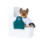 Que Woow Disfraz barista