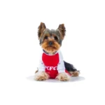 Que Woww Disfraz KFC