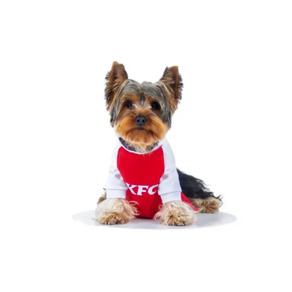 Que Woww Disfraz KFC