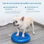 Cojín de Entrenamiento de Equilibrio para Mascotas - Imagen 6