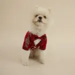 LITTLE TAILS TERNO ROJO