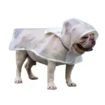 Poncho para la LLuvia Transparente