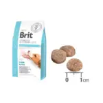 BRIT GLUTEN & GRAIN-FREE VETERINARY DIET OBESITY2