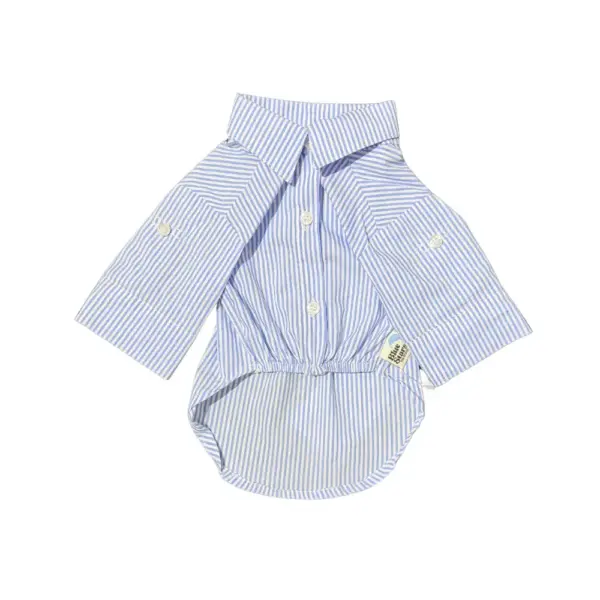 CAMISA RALPH CELESTE