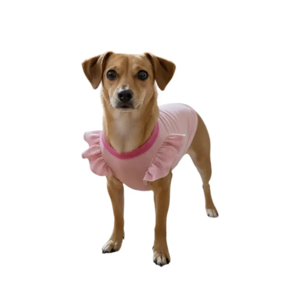 POLO RALPH ROSA 2 POLO RALPH ROSA 2