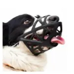 Bozal Ergonómico para Perros 2