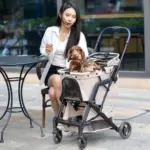 Coche para Mascotas 2