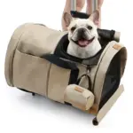 Transportador Mochila para Mascotas