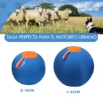 Pelota de Pastoreo para Perros 5