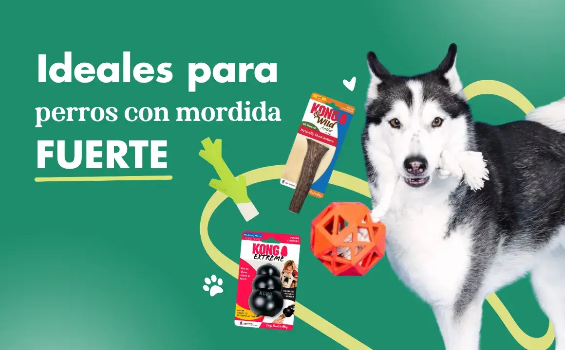 Productos para perros con mordida fuerte