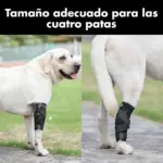Protector de Rodilla Corto