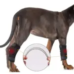 Protector de Rodilla Corto 3