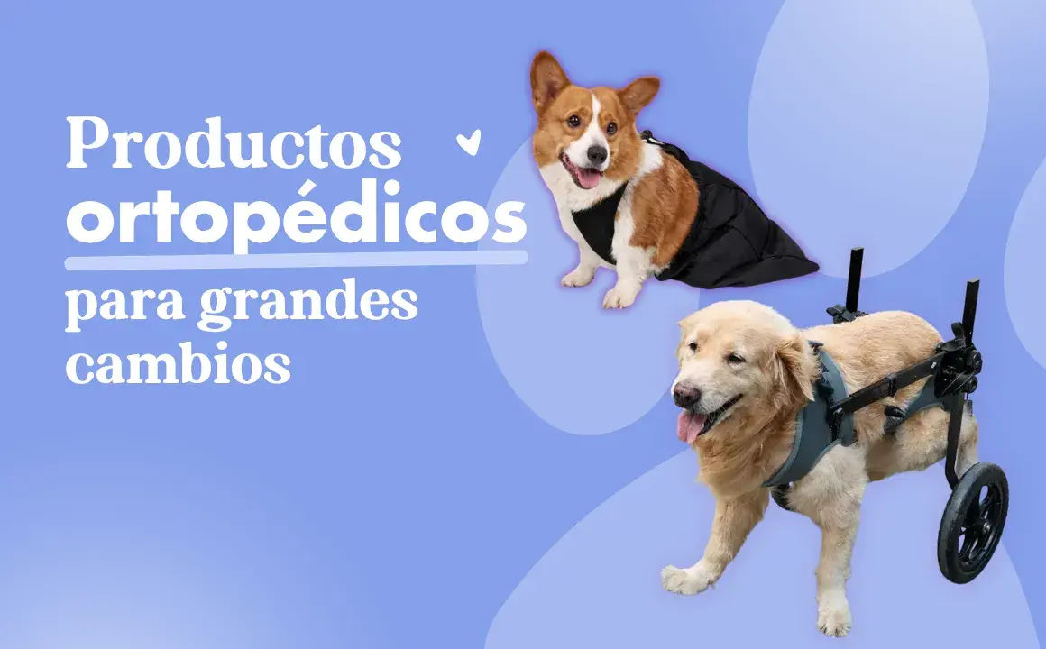 Banner middle ortopedicos