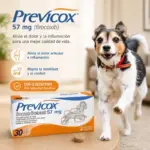 Previcox 57 MG X Unidad 2