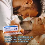 Previcox 57 MG X Unidad 3